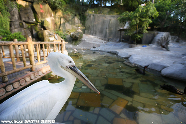 Journey to the silk road - Fujian