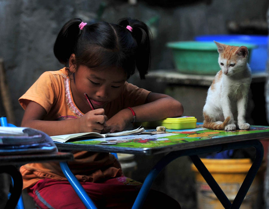 Children of shantytown play with pets