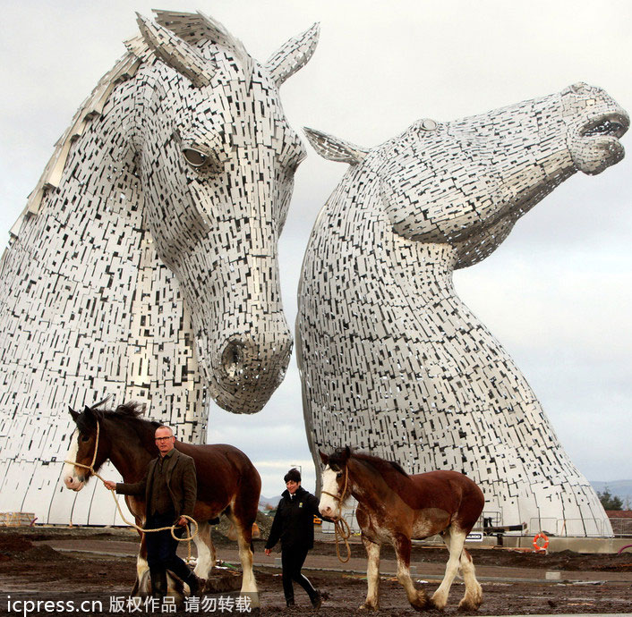 Equine art