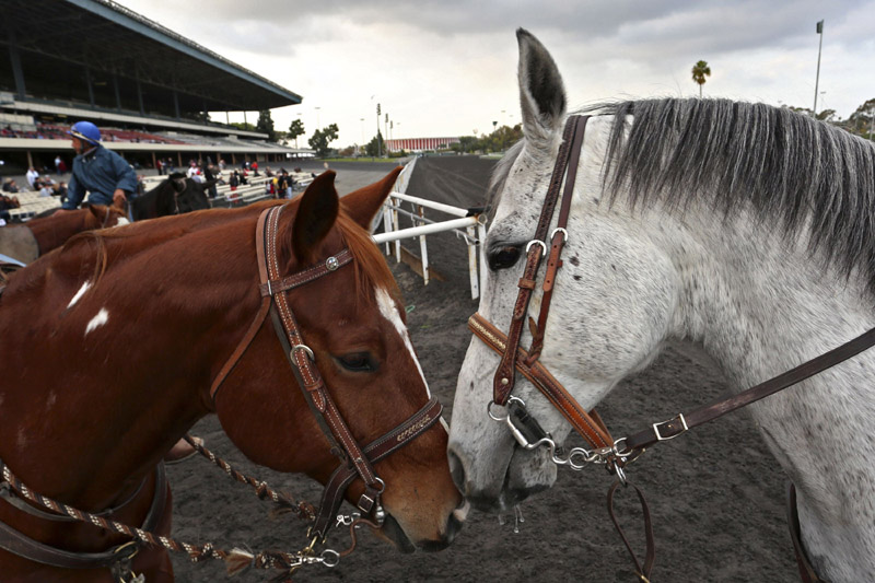 Betfair Hollywood Park closes down