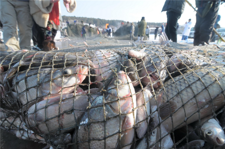 Ice fishing in NE China