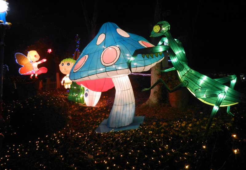 Lantern fair lights up E China park