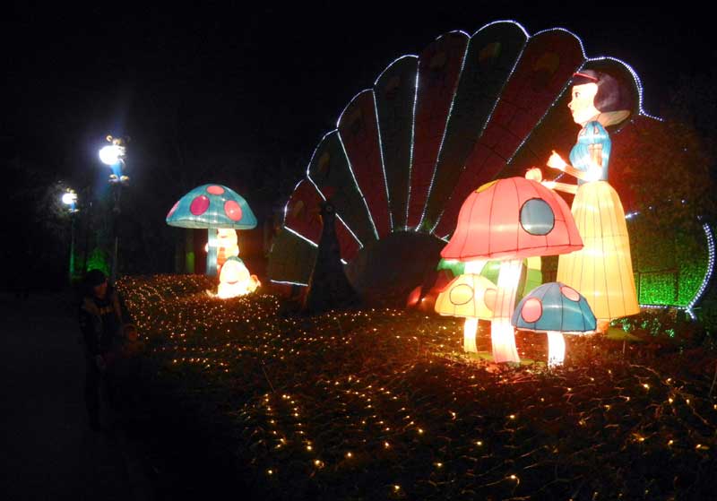 Lantern fair lights up E China park