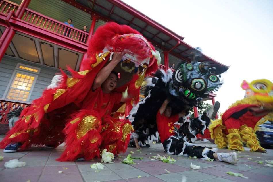 Spring Festival celebrations