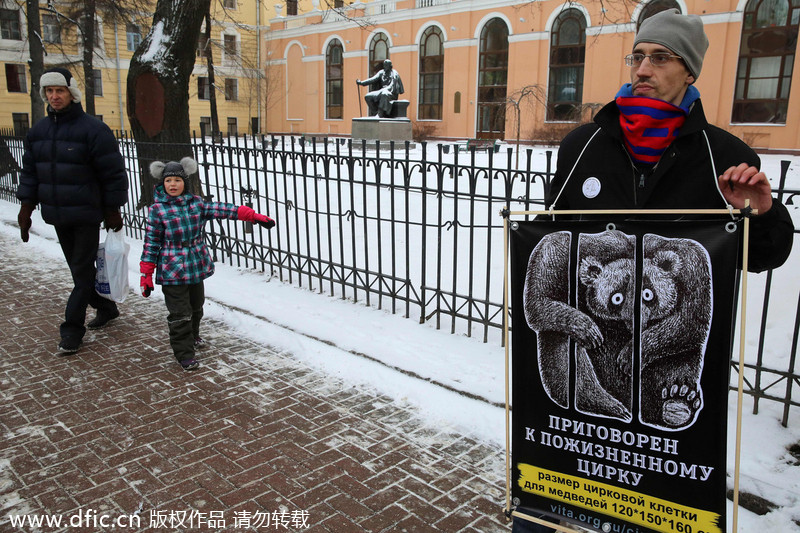 Protest against animal abuse in St Petersburg