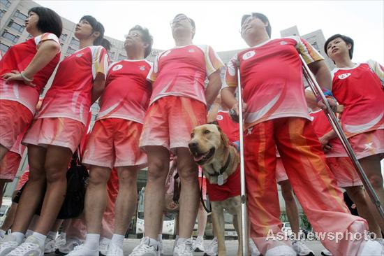 Guide dog leads torch relay in Zhoushan