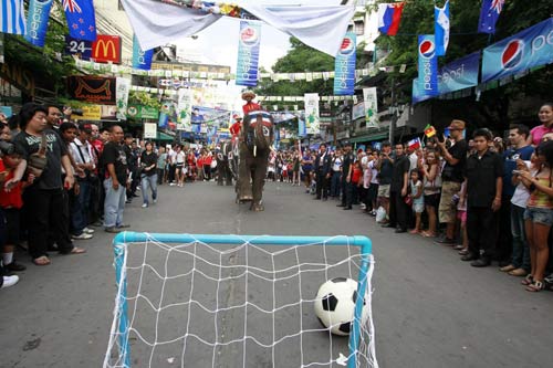 Elephants play soccer to promote tourism in Bangkok