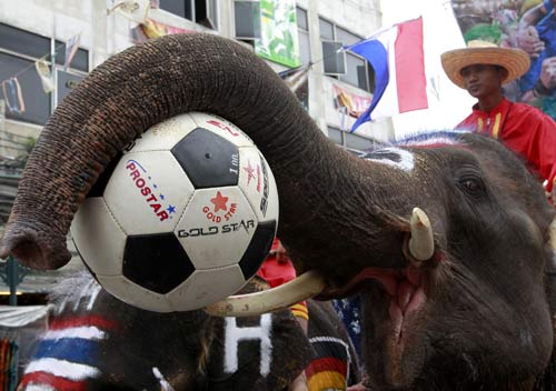 Elephants play soccer to promote tourism in Bangkok