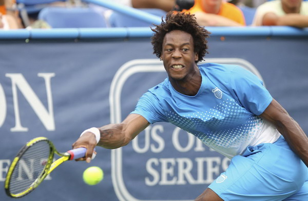 Stepanek upsets Monfils to win Washington title