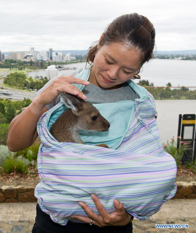 Li Na says 'cheese' with baby kangaroo in Australia