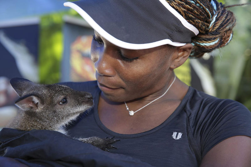 Players get Aussie treats ahead of Australian Open