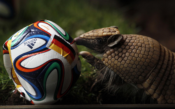 World Cup mascot fails to cash in with FIFA