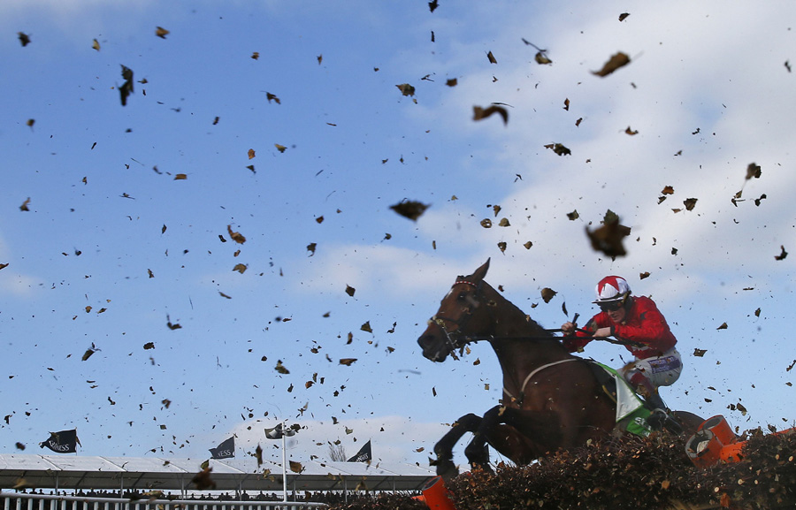 Sport picture selections of the year 2014