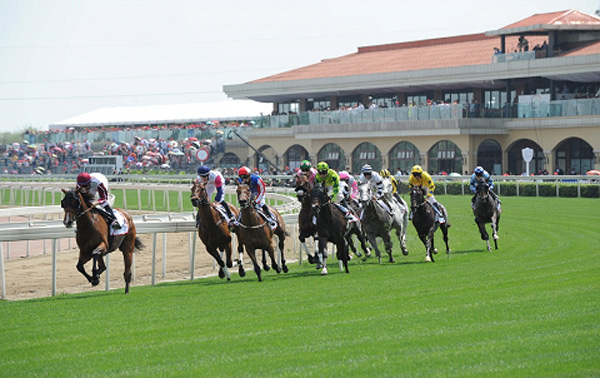 Brazilian jockey wins big in Chengdu Dubai International Cup