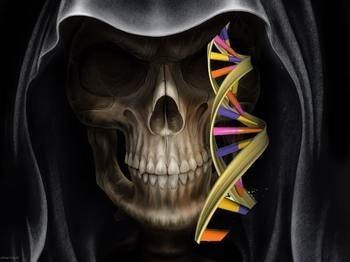 基因可预测人类死亡时间？揭基因与死亡关系
