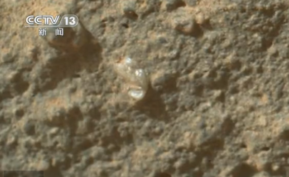 好奇号探测器在火星上拍到疑似花朵物体