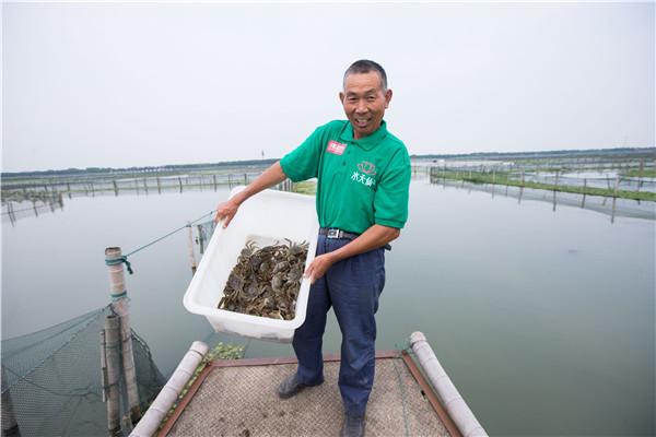 Feasting season kicks off for delicious hairy crabs