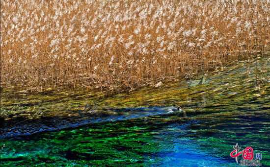 Amazing Jiuzhaigou Valley in winter