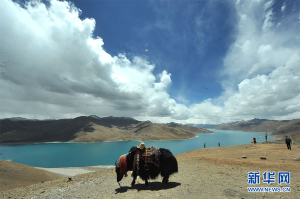 Mesmerizing Yamdok Tso Lake in Tibet