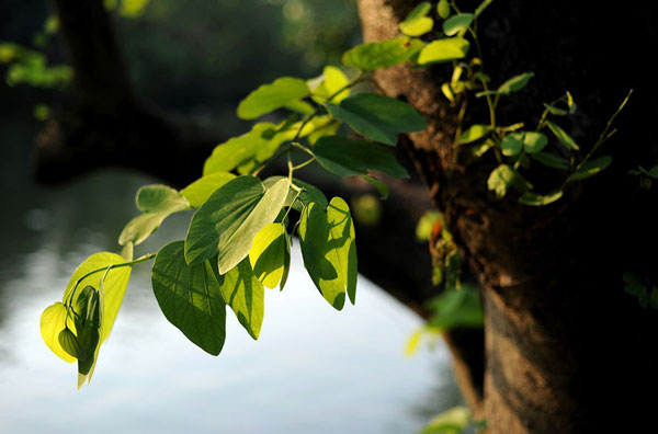 Amaing Yuexiu Park in Guangzhou