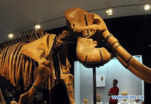 Heluo Civilization Exhibition held in central China