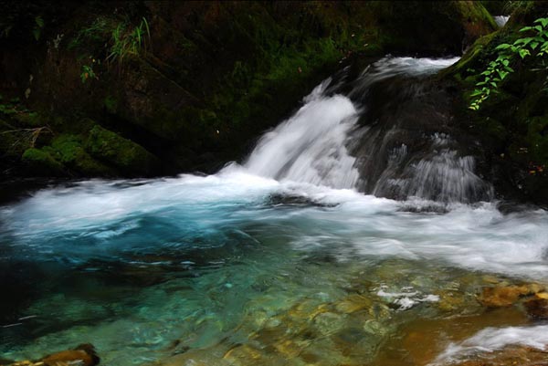 A snapshot of Shennongjia Nature Reserve