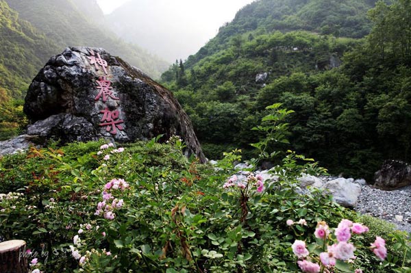 A snapshot of Shennongjia Nature Reserve