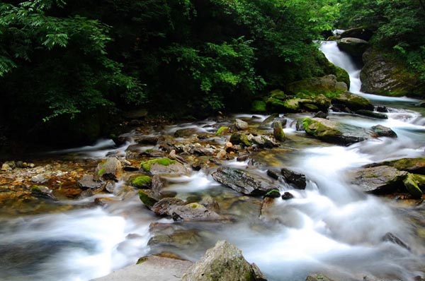 A snapshot of Shennongjia Nature Reserve