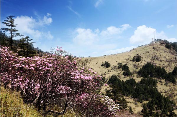 A snapshot of Shennongjia Nature Reserve