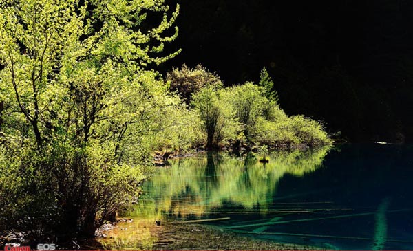 Amazing Jiuzhai Valley