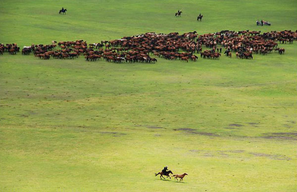 Mongolian Nadam Fair opens in Hulun Buir