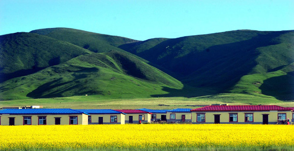 Romancing in Qinghai Lake