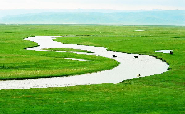 Tourists arrive in Qinghai as summer holiday season starts