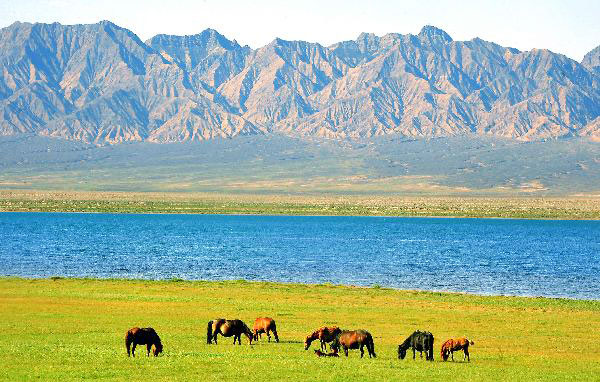 Tourists arrive in Qinghai as summer holiday season starts