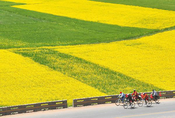 Tourists arrive in Qinghai as summer holiday season starts