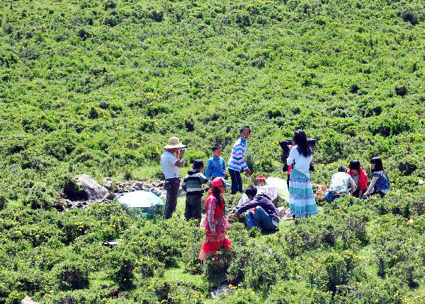 Tourists arrive in Qinghai as summer holiday season starts