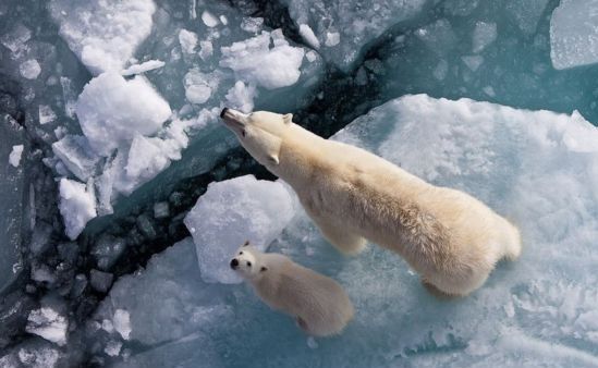 Intimate moments on ice