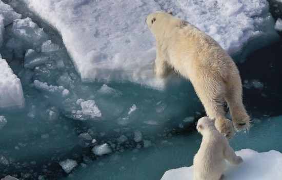 Intimate moments on ice