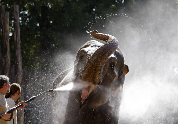 A visit to Budapest's Zoo