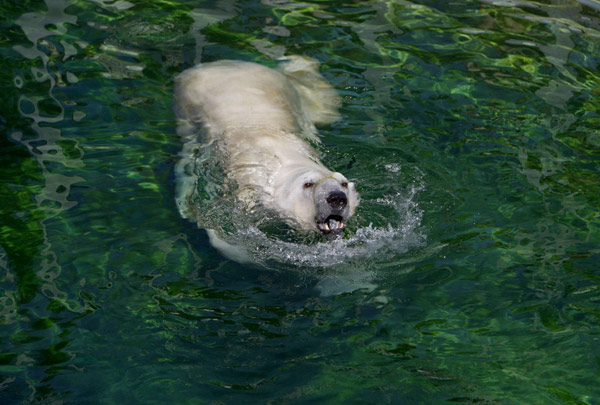 A visit to Budapest's Zoo