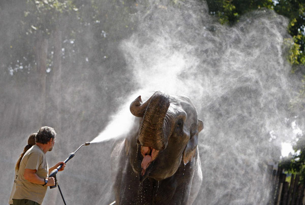 A visit to Budapest's Zoo