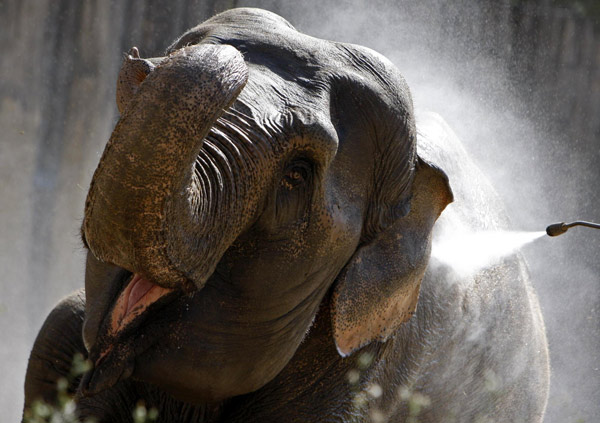 A visit to Budapest's Zoo