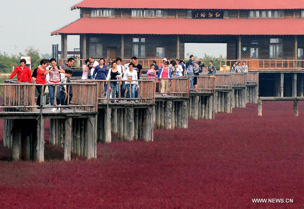 Tourists visit Red Beach in NE China during Mid-autumn