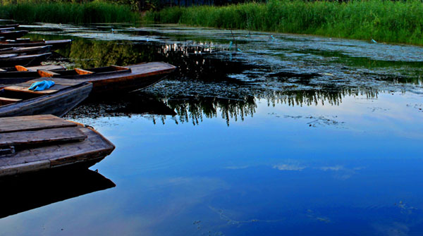 Amazing Baiyangdian Lake in early autumn