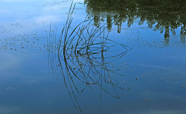 Amazing Baiyangdian Lake in early autumn