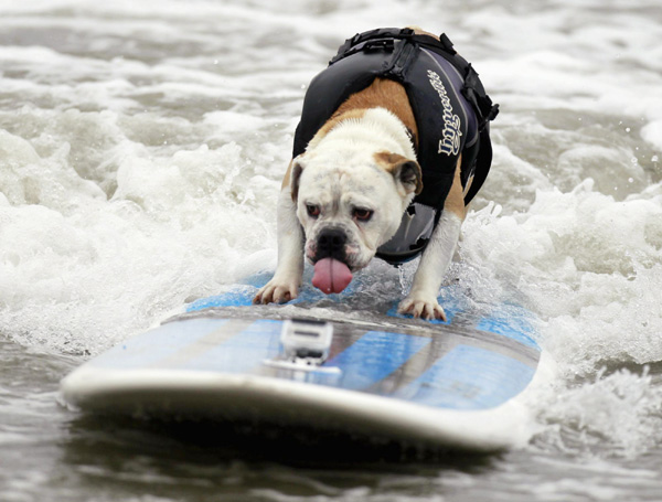 Pups take the waves