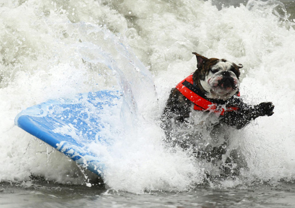 Pups take the waves