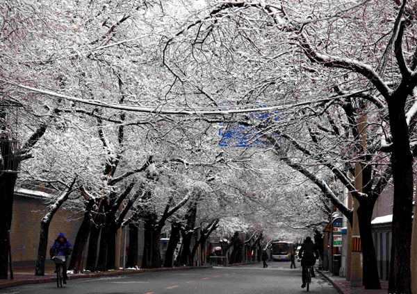 Beijing turns white