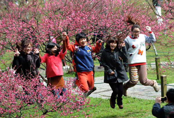 Plum blossoms herald coming of spring