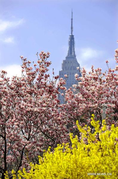 Northern hemisphere embraces flourishing spring flowers